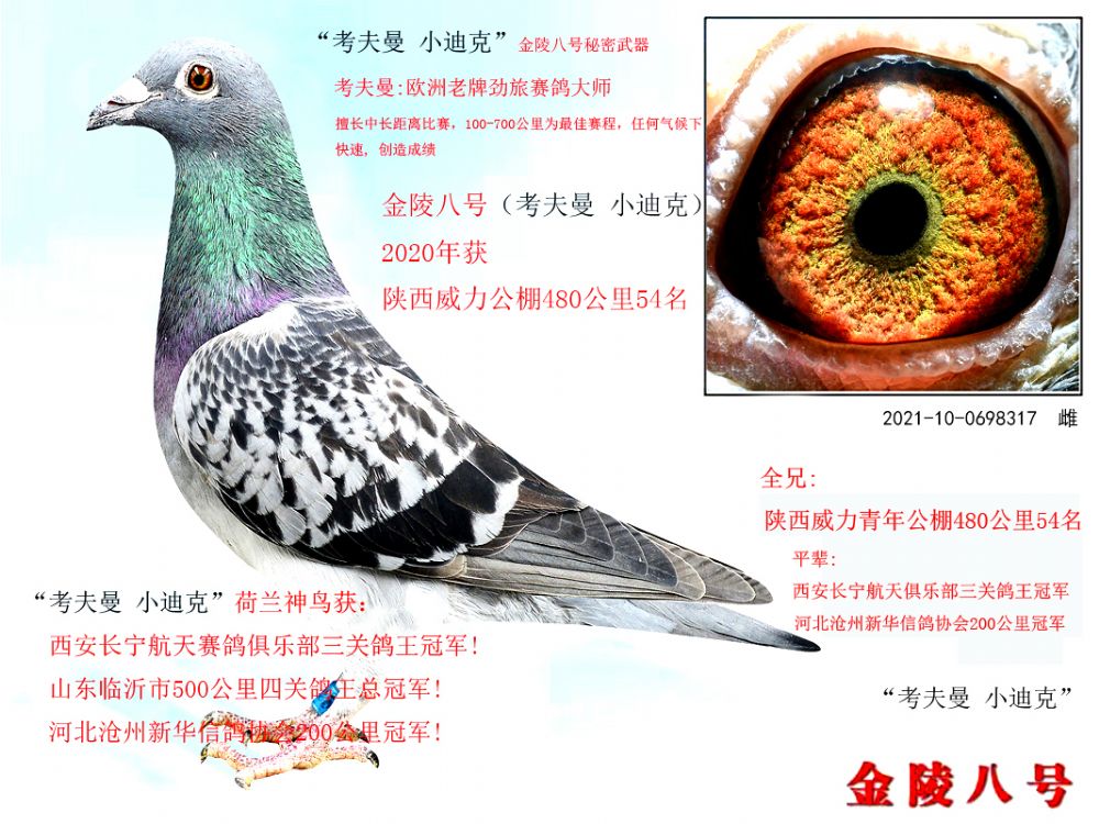 ag188.com