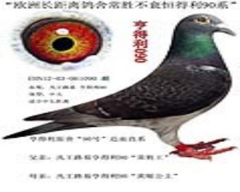 凡王路易恒得利90系