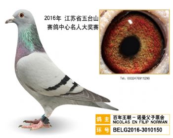 5百年王朝诺曼父子原舍,BELG2016-3010150