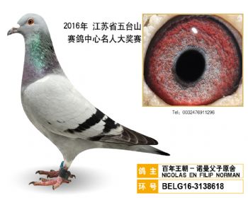 7百年王朝诺曼父子原舍,BELG163138618