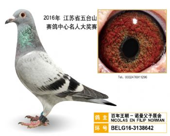 12百年王朝诺曼父子原舍,BELG163138642