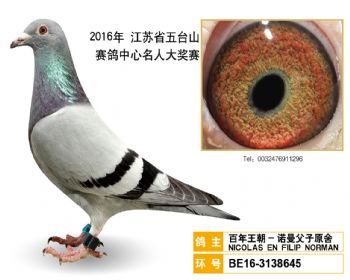 13百年王朝诺曼父子原舍,BELG163138645