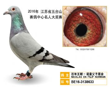 15百年王朝诺曼父子原舍,BE163138633