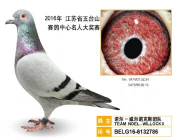 29诺尔威尔诺克斯团队,BELG166132786