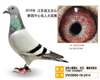 39世界公棚霸主,托尼戴格纳原舍,DV05950162414