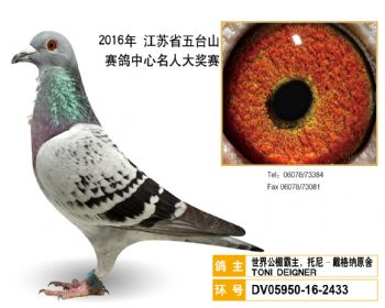 43世界公棚霸主,托尼戴格纳原舍,DV05950162433