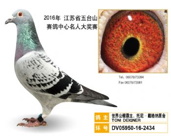 44世界公棚霸主,托尼戴格纳原舍,DV05950162434