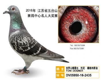 45世界公棚霸主,托尼戴格纳原舍,DV05950162435