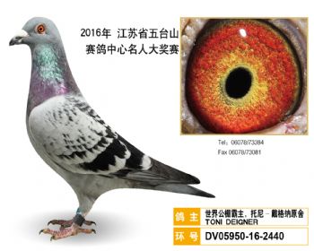 49世界公棚霸主,托尼戴格纳原舍,DV05950162440