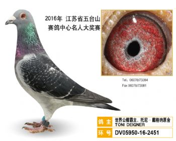 51世界公棚霸主,托尼戴格纳原舍,DV05950162451