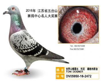 57世界公棚霸主,托尼戴格纳原舍,DV05950162472