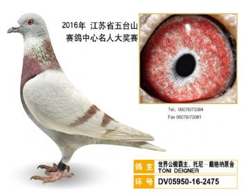 58世界公棚霸主,托尼戴格纳原舍,DV05950162475