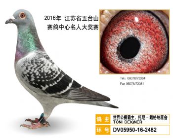 59世界公棚霸主,托尼戴格纳原舍,DV05950162482