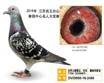 60世界公棚霸主,托尼戴格纳原舍,DV05950162486