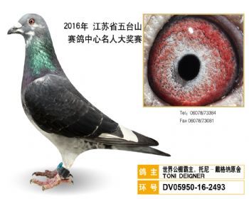 63世界公棚霸主,托尼戴格纳原舍,DV05950162493
