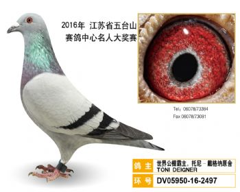 64世界公棚霸主,托尼戴格纳原舍,DV05950162497