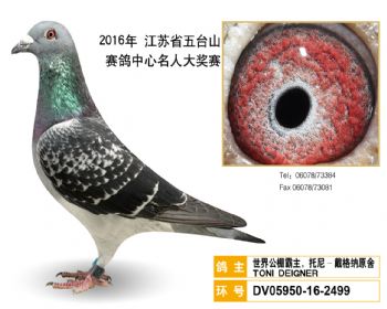 65世界公棚霸主,托尼戴格纳原舍,DV05950162499