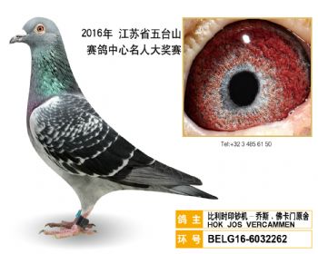 68比利时印钞机乔斯.佛卡门原舍,BELG166032262