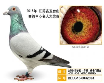 69比利时印钞机乔斯.佛卡门原舍,BELG166032303