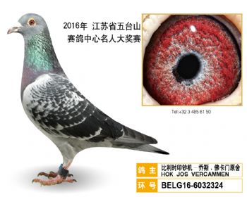70比利时印钞机乔斯.佛卡门原舍,BELG166032324
