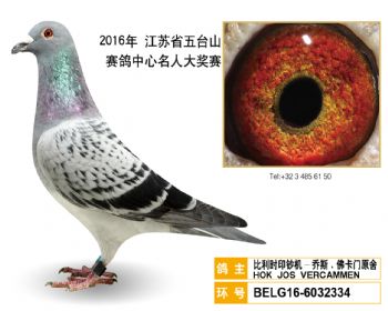 71比利时印钞机乔斯.佛卡门原舍,BELG166032334