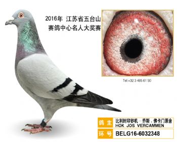 72比利时印钞机乔斯.佛卡门原舍,BELG166032348