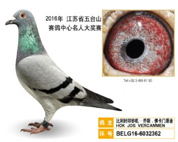73比利时印钞机乔斯.佛卡门原舍,BELG166032362