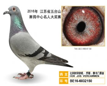 74比利时印钞机乔斯.佛卡门原舍,BE166032150