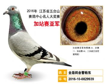 加站赛亚军