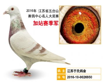 加站赛季军