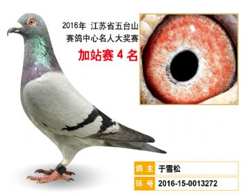 加站赛4名