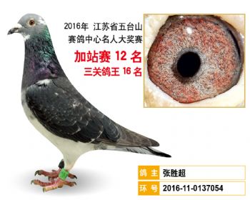 加站赛12名