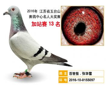加站赛13名