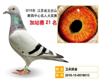 加站赛21名