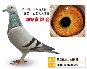 加站赛23名