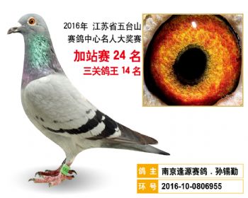 加站赛24名