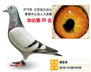 加站赛25名