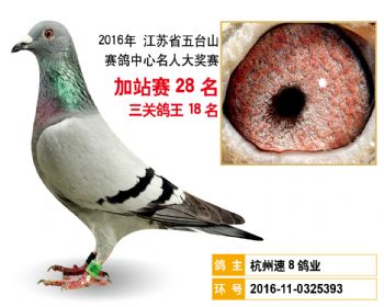 加站赛28名