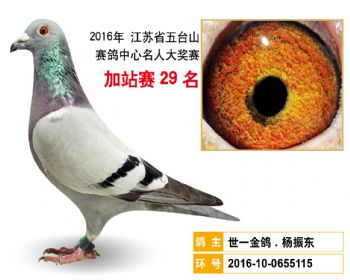 加站赛29名