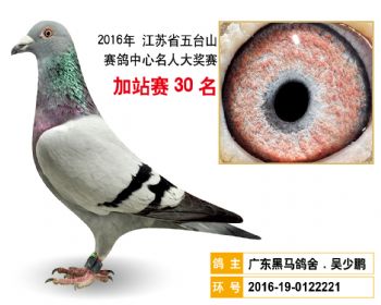 加站赛30名