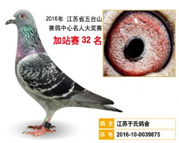 加站赛32名