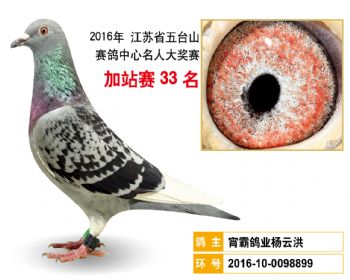 加站赛33名