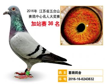 加站赛36名