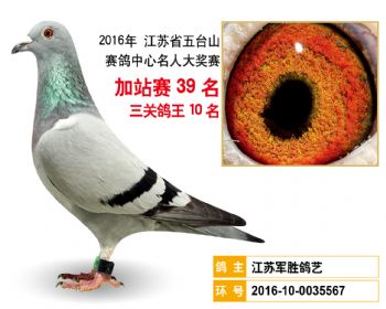 加站赛39名