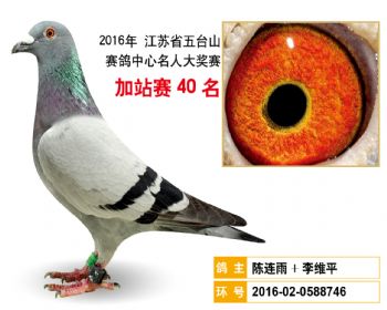 加站赛40名