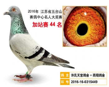 加站赛44名