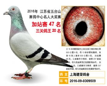 加站赛47名