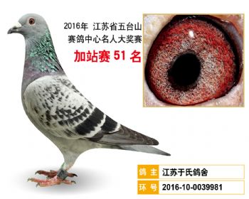 加站赛51名