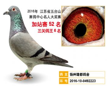 加站赛52名