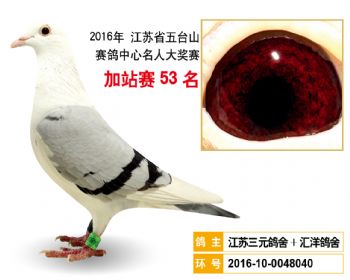 加站赛53名
